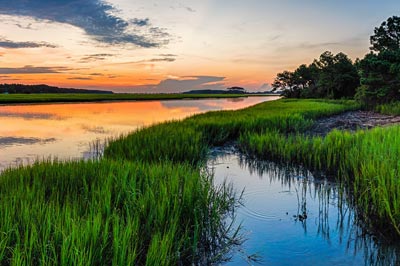 South Carolina marsh