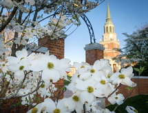 Wake forest university d regular 20180426085009